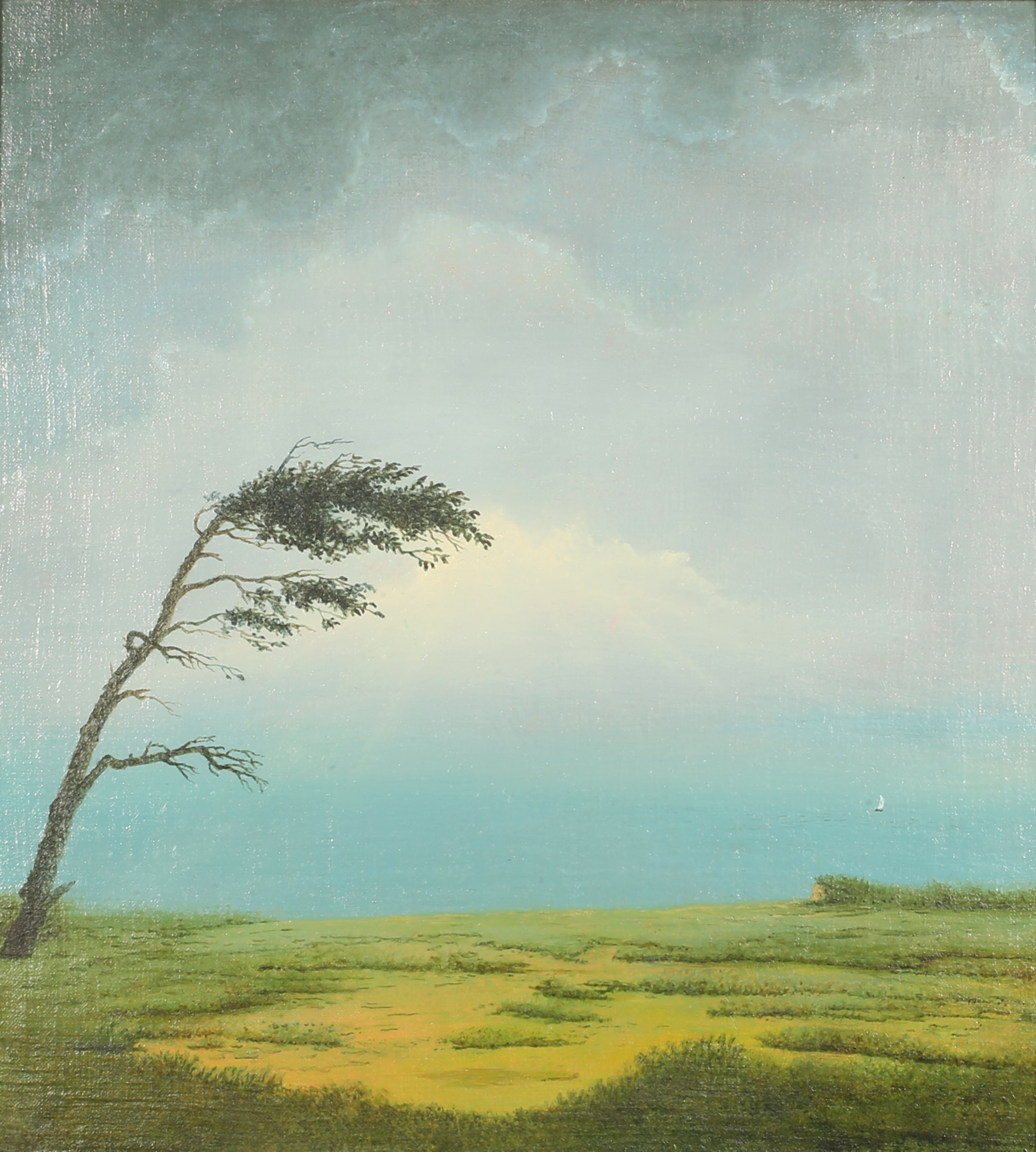 Rügen, Landschaft bei Dranske Rügen, Landschaft bei Dranske