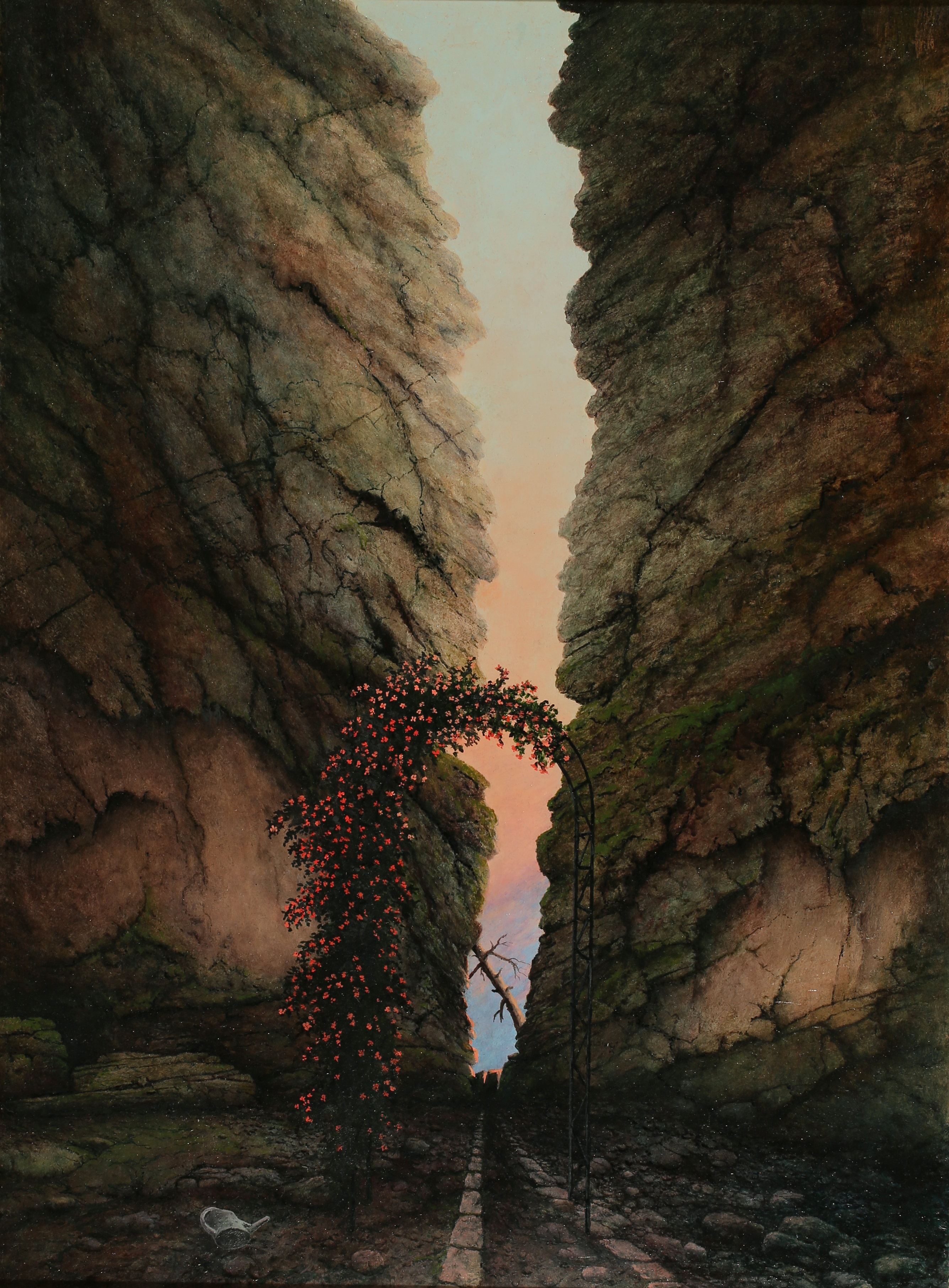 Sächsische Schweiz, Schlucht mit Rosenbogen Sächsische Schweiz, Schlucht mit Rosenbogen